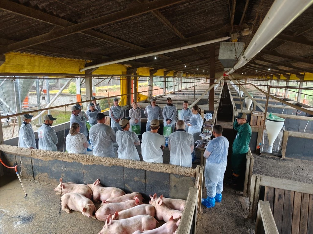 Copercampos realiza 1º Dia de Campo da Suinocultura